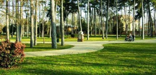 Apartment In Siofok/balaton 39540