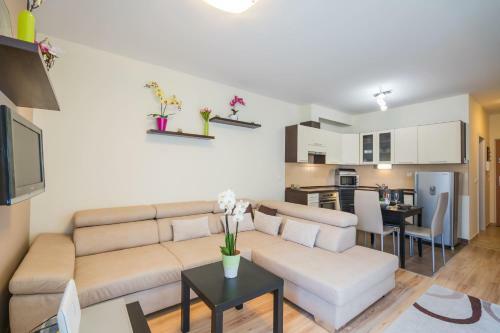 Mf Solaris Family Apartment