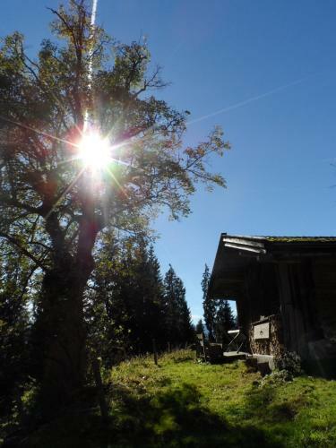 Apartamento Haus Gneuss