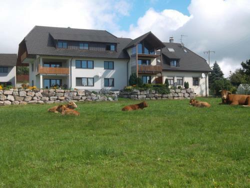 Apartamento Ferienwohnung Biohof Gerspach