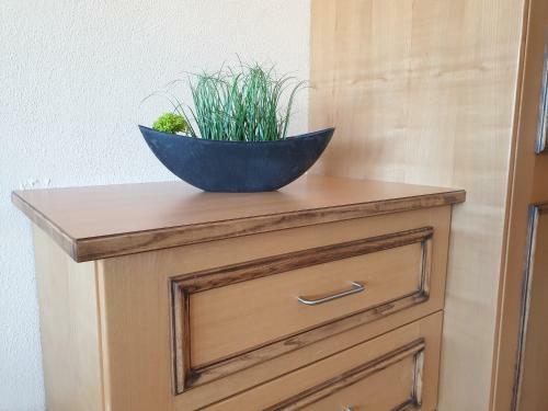 Apartamento Ferienhof Haug