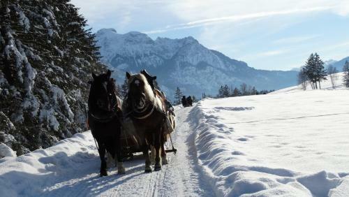 Apartamentos Ferienwohnung Alpenstern