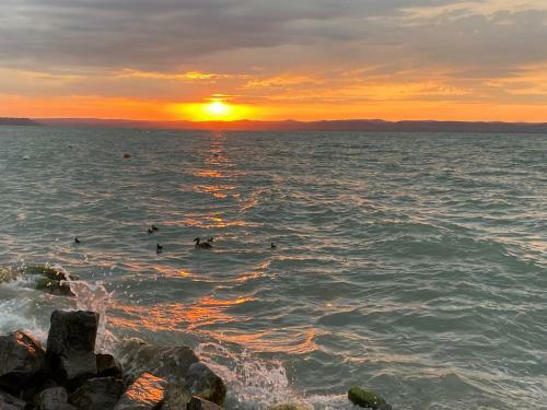 Seaside Balaton - Si�fok Apartman