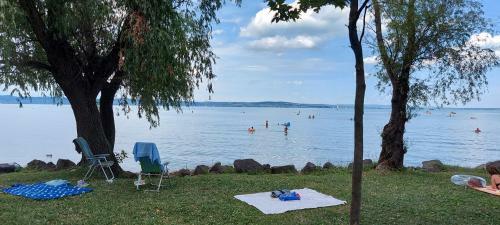 Life Apartmanok