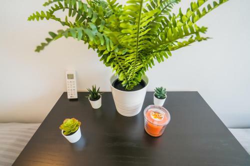 Mf Zara 1002 Apartment