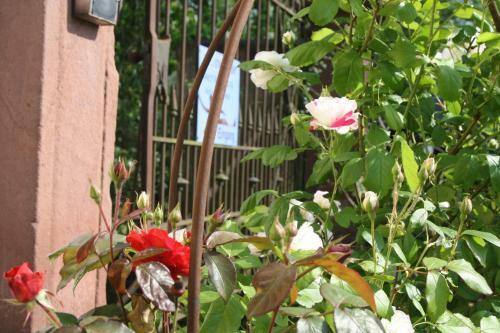 Bed & Breakfast Art-be-in-b Appartement -studios