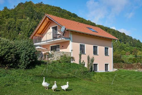 Apartamento Ferienhof Halbig