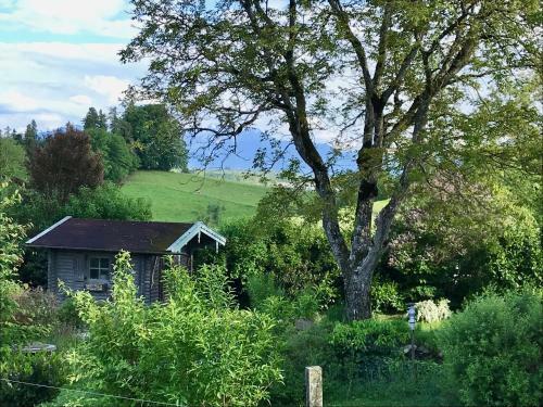 Apartamento Haus Dreiseenblick