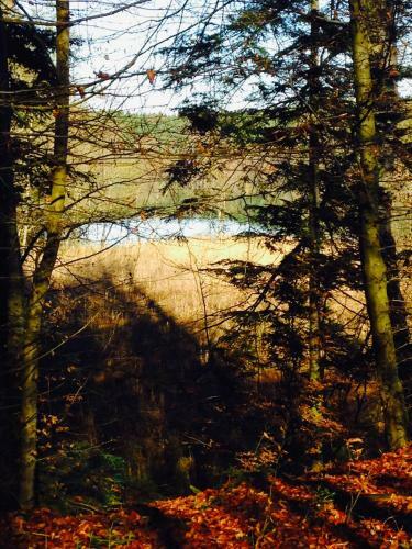 Apartamento Haus Dreiseenblick