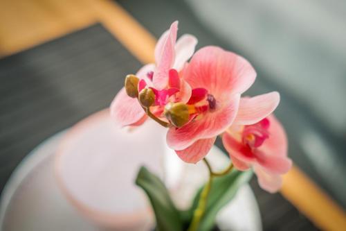 Mf Flower Beach Apartment - Cirk�l� 411
