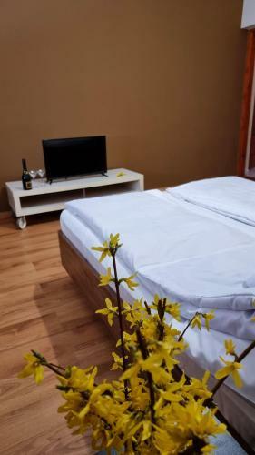 Relax Apartman Si�fok-s�st�