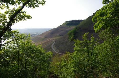Hotel Weingut Weich