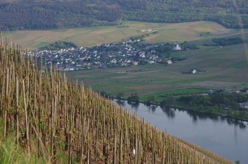 Hotel Weingut Weich