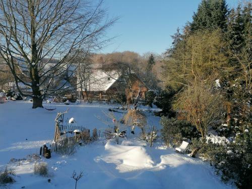 Wintergarten Am Thingplatz