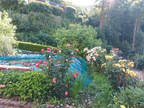 Hostal Pension Roseneck