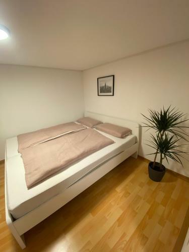 Apartment Mit Netflix, Amazon Prime & Wifi