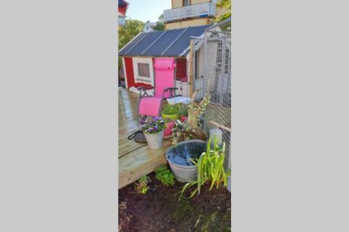 Nydelig Hytte I Kabelv�g Lofoten