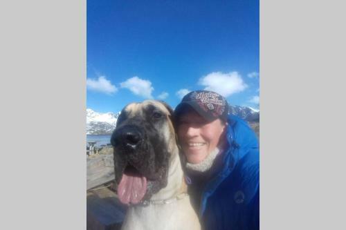Nydelig Hytte I Kabelv�g Lofoten