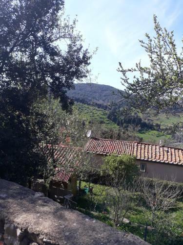 Bed & Breakfast Cavour21