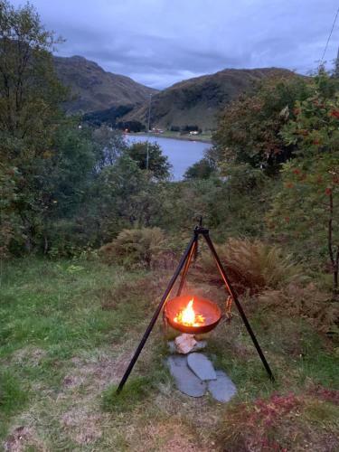 Glamping Lofoten