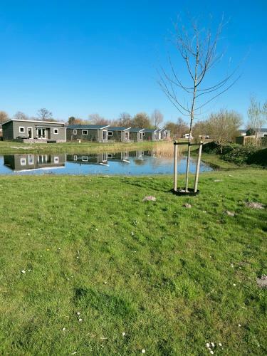 Chalet Vakantiepark Lauwersoog Robbengat 68