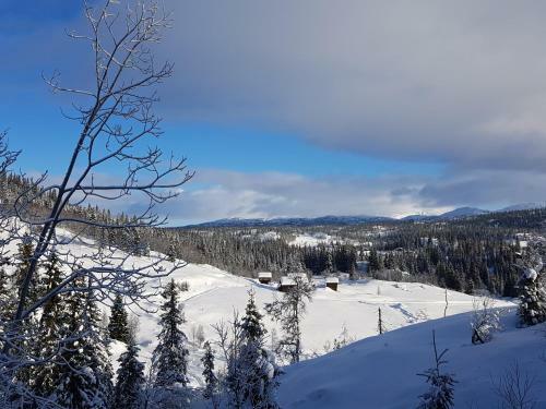 Kvambekk Gard I �motsdal