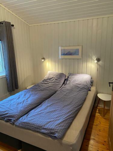 Waterfront Mountain View Cabin Lofoten