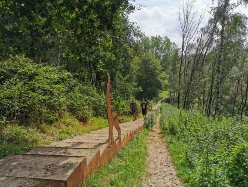 Vakantie Op De Veluwe