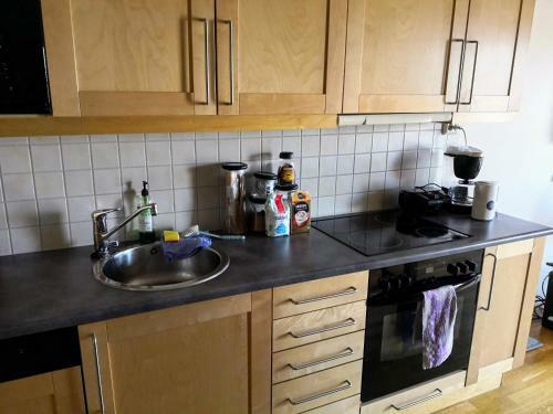 Apartamento Sentral Moderne Leilighet