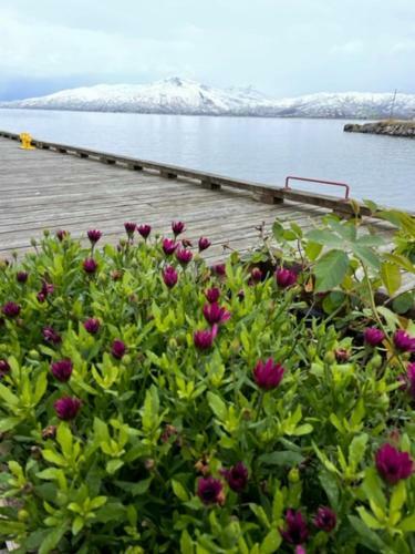 Apartamento 2. Etg I Dampskipsbrygga, L�dingen Havn