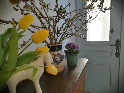 Apartamento Alte Apotheke