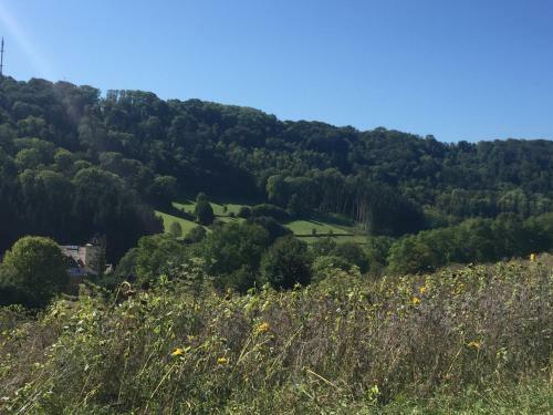 Apartamento Ferienidyll Aum�hle "muswiese"