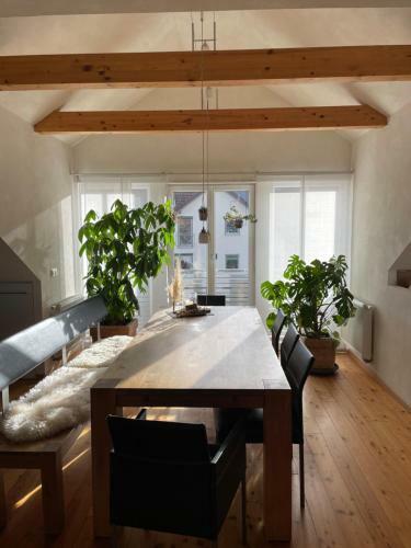 Apartamento Ferienwohnung Nussbaum-nest