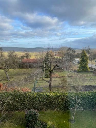 Apartamento Ferienwohnung Nussbaum-nest