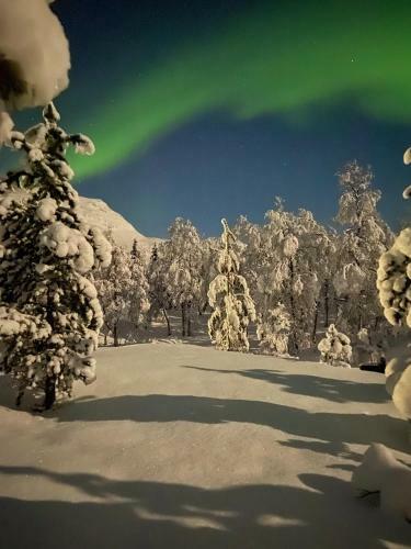 Lodge North Experience Basecamp