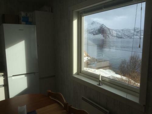 Senja Skaland