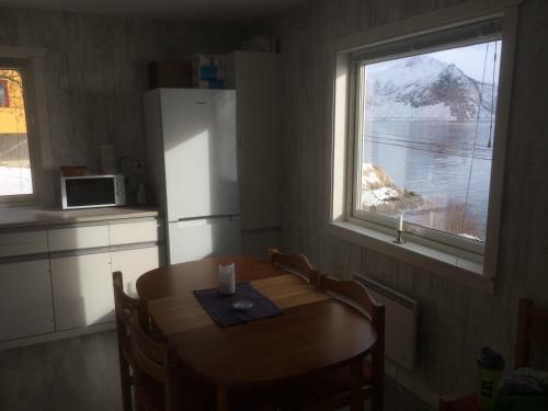 Senja Skaland