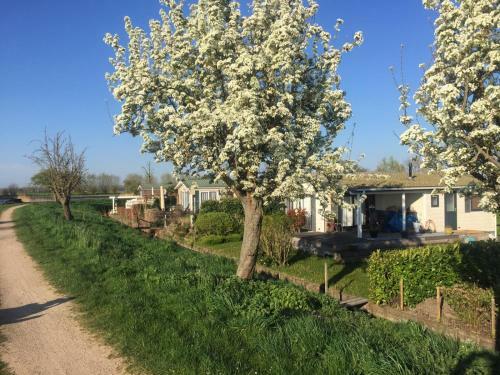 Vakantiewoning 6-persoons
