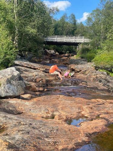Moldes Flotteste Hytte 12 Km Fra Sentrum