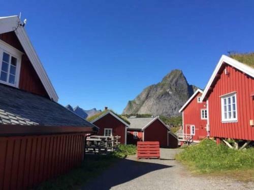 Reinestua