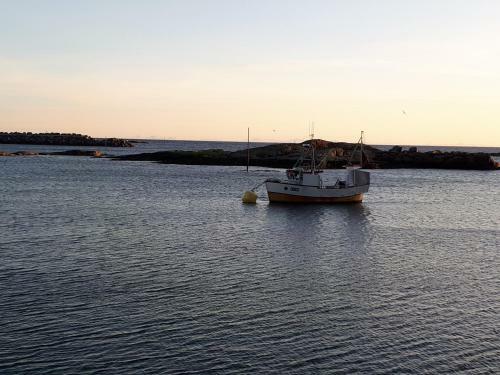 Apartamento Sj�haug Rorbu