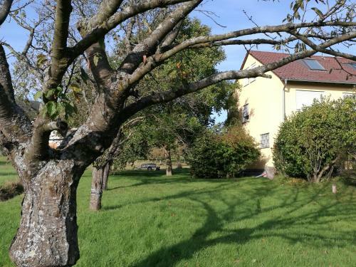Apartamento Ferienwohnung Am Selberg