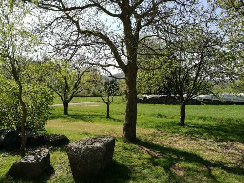Apartamento Ferienwohnung Am Selberg