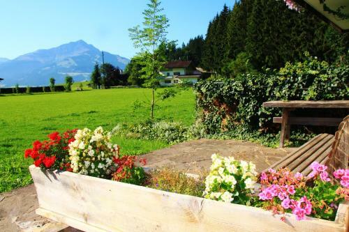 Apartamento Appartements Binderhof