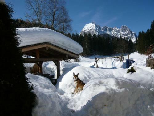 Apartamento Haus Huber