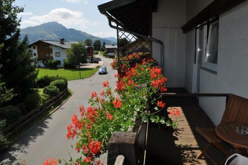 Hostal Privatzimmer Treffer
