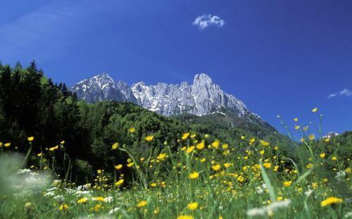 Hostal G�stehaus-pension Bendler