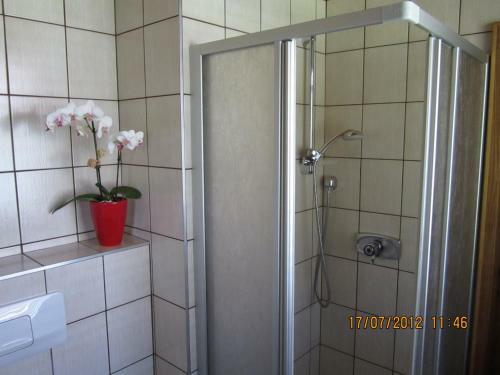 Hostal G�stehaus Holzfeind