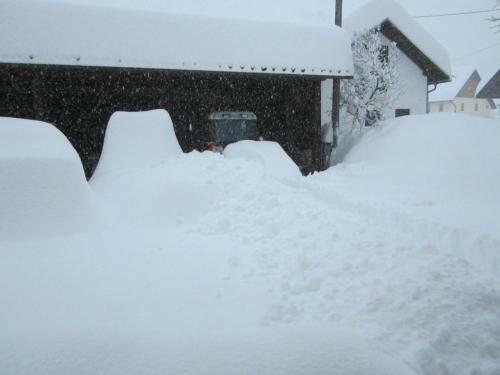 Hostal G�stehaus Holzfeind