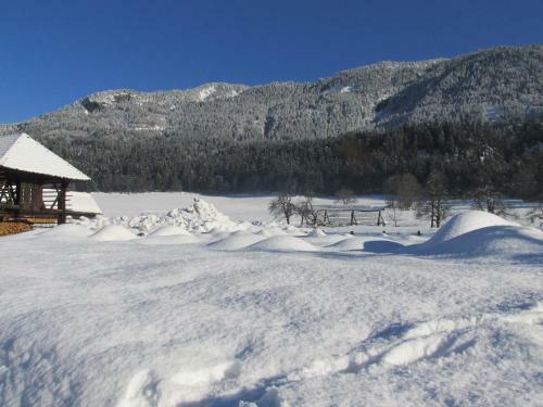 Hostal G�stehaus Holzfeind